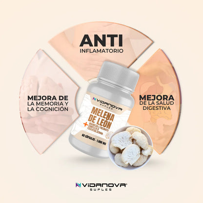 Melena de León 800mg · Magnesio, Complejo B y Fosfatidilserina · 60 Cápsulas